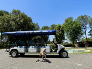 Rome Half Day: Private Golf Cart Adventure & Wine Tasting in an Ancient Cellar